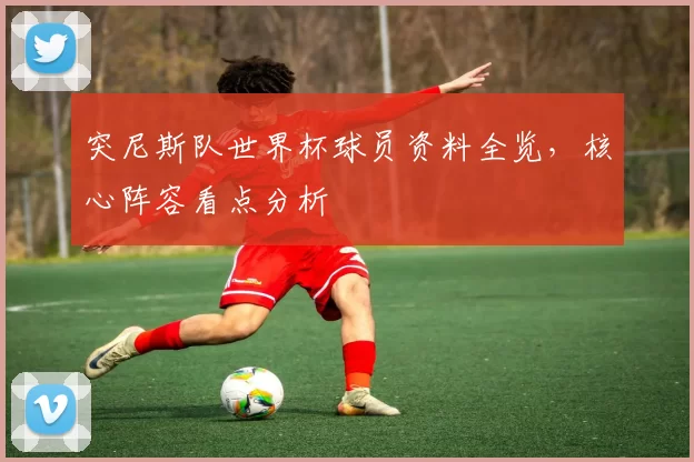 突尼斯队世界杯球员资料全览，核心阵容看点分析