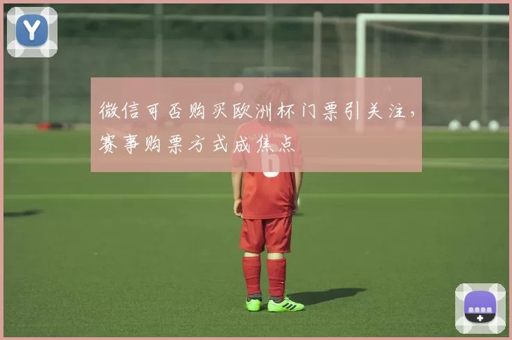 微信可否购买欧洲杯门票引关注,赛事购票方式成焦点