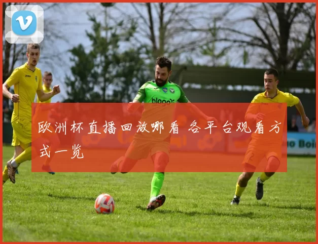 欧洲杯直播回放哪看 各平台观看方式一览