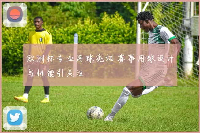 欧洲杯专业用球亮相 赛事用球设计与性能引关注