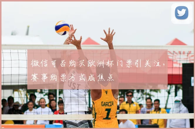 微信可否购买欧洲杯门票引关注，赛事购票方式成焦点