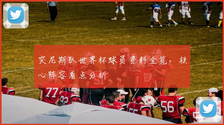 突尼斯队世界杯球员资料全览，核心阵容看点分析