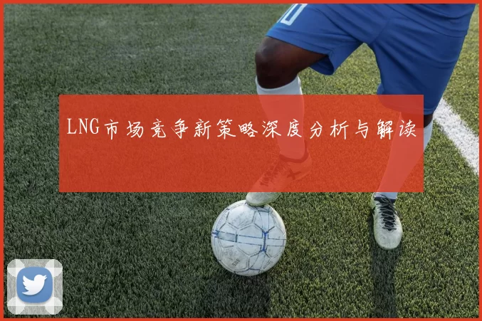 LNG市场竞争新策略深度分析与解读
