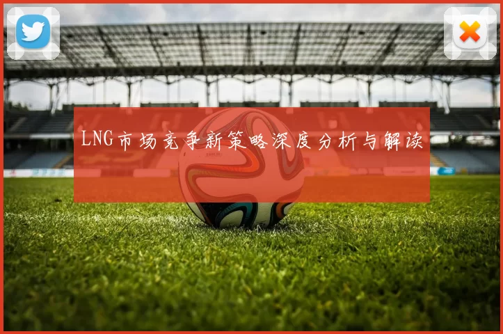 LNG市场竞争新策略深度分析与解读