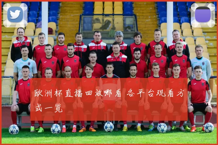 欧洲杯直播回放哪看 各平台观看方式一览