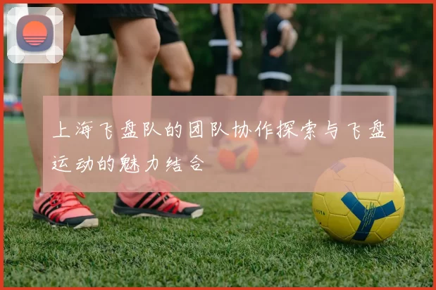 上海飞盘队的团队协作探索与飞盘运动的魅力结合
