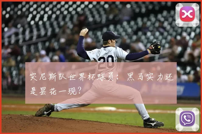 突尼斯队世界杯球员:黑马实力还是昙花一现?