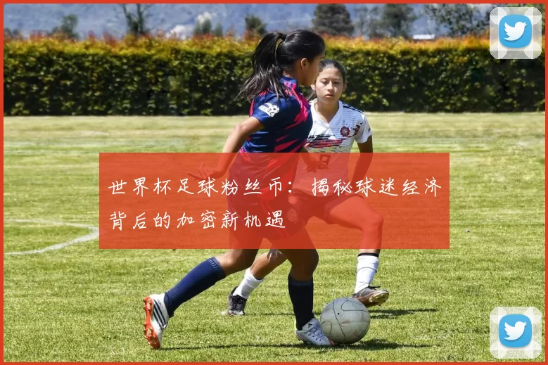 世界杯足球粉丝币：揭秘球迷经济背后的加密新机遇