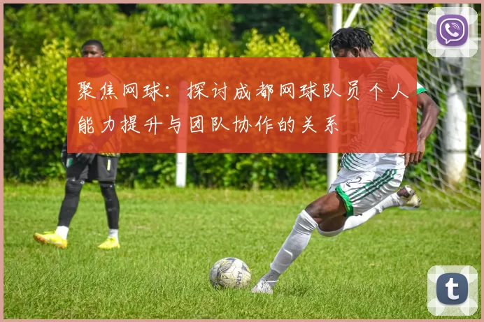聚焦网球:探讨成都网球队员个人能力提升与团队协作的关系