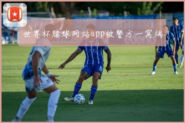 世界杯赌球网站app被警方一窝端