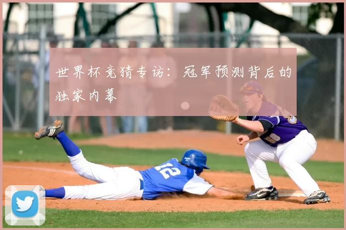 世界杯竞猜专访:冠军预测背后的独家内幕