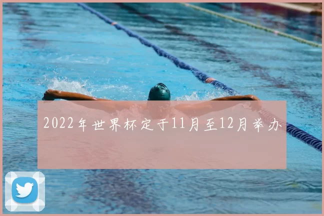 2022年世界杯定于11月至12月举办